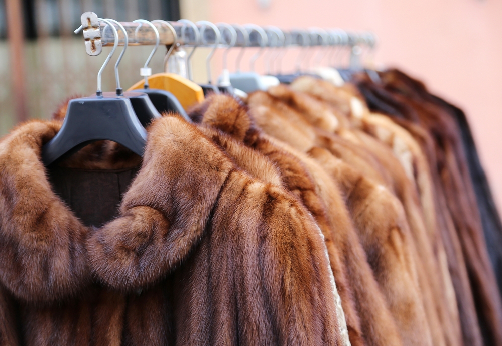 Luxury,Fur,Coat,Very,Sofly,In,Vintage,Style