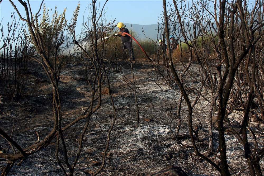Forest fire in Albania