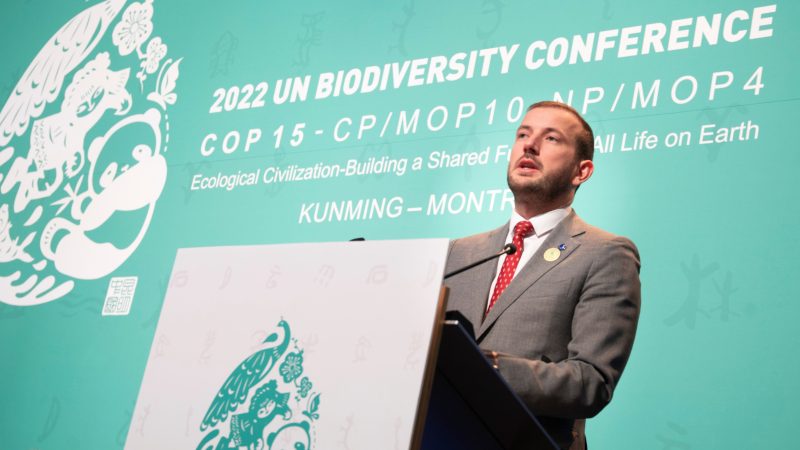 Artenschutzkonferenz COP15: Druck auf EU wächst