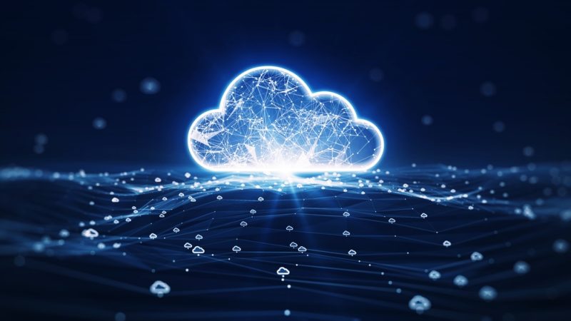 'Cloud-Infrastrukturen dürfen nicht den Software-Monopolen zum Opfer fallen'