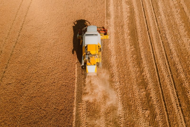 Ernährungssicherheit: Finnland will Getreidevorräte deutlich erhöhen