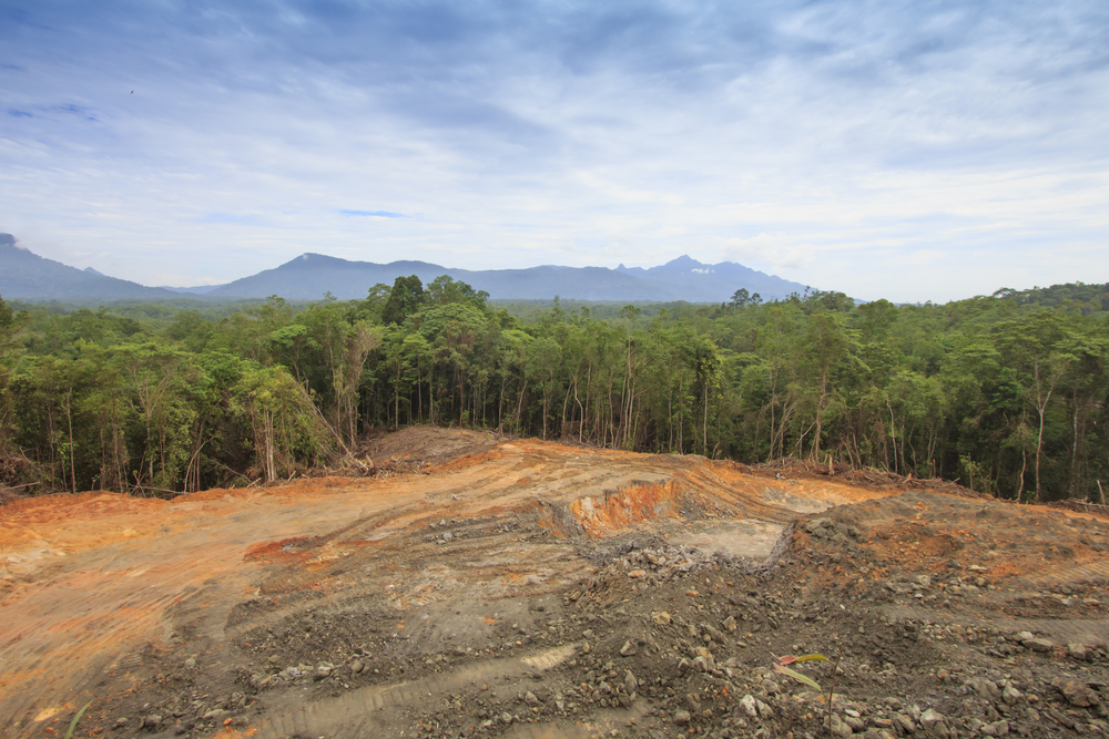 Deforestation:,Scarred,Earth,Where,Tropical,Rain,Forest,Has,Been,Destroyed