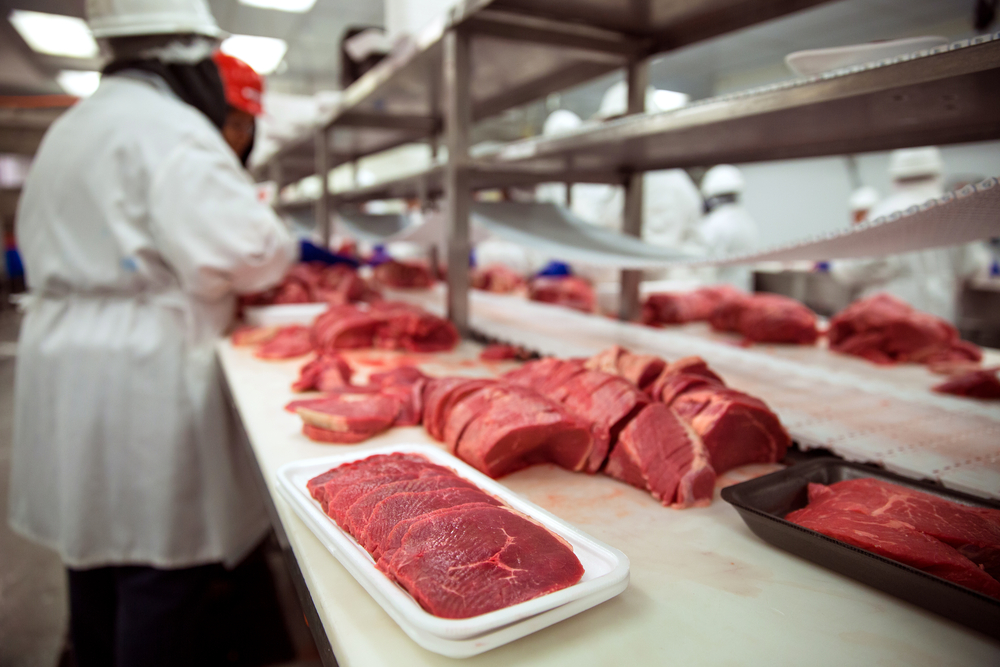 Meats,Of,All,Types,Raw,Before,It,Is,Packaged,And