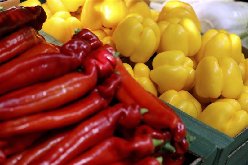 Mittelmeerfruchtfliege: USA verbieten Einfuhr frischer Paprika aus Spanien