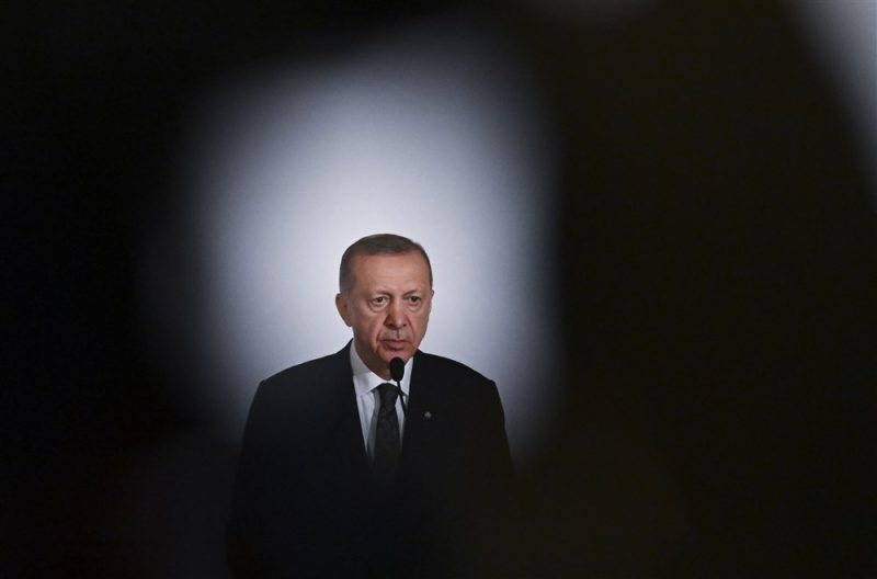 Mit oder ohne Erdogan: Ein Schicksalsjahr für die Türkei