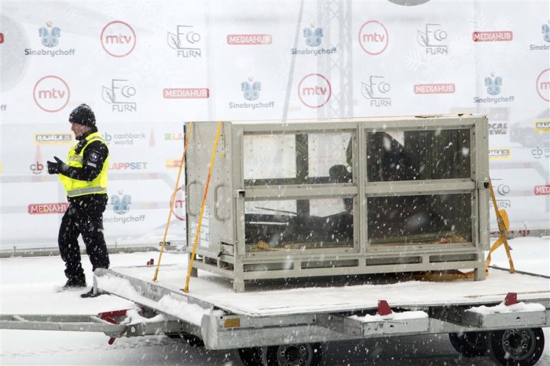 Pandas könnten Handelsstreit zwischen China und Finnland auslösen