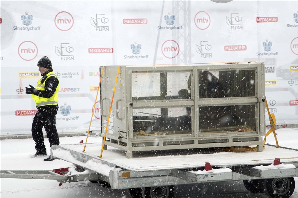 Giant pandas arrive in Helsinki