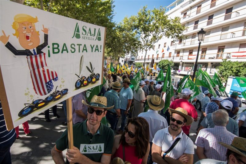Spanische Oliven: Stillstand im Zollstreit zwischen EU und USA