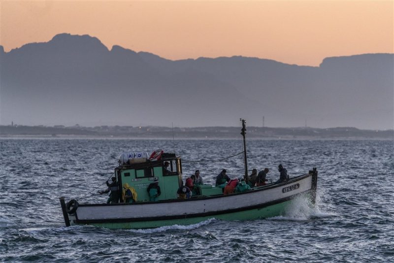 Illegale Fischerei: EU stuft Kamerun als "nicht-kooperierendes Land" ein