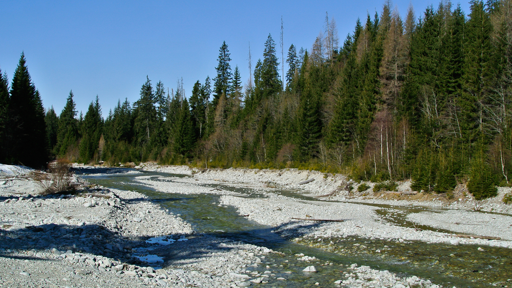 A,Record,Drought,Is,Bothering,Northern,Slovakia,In,The,Spring