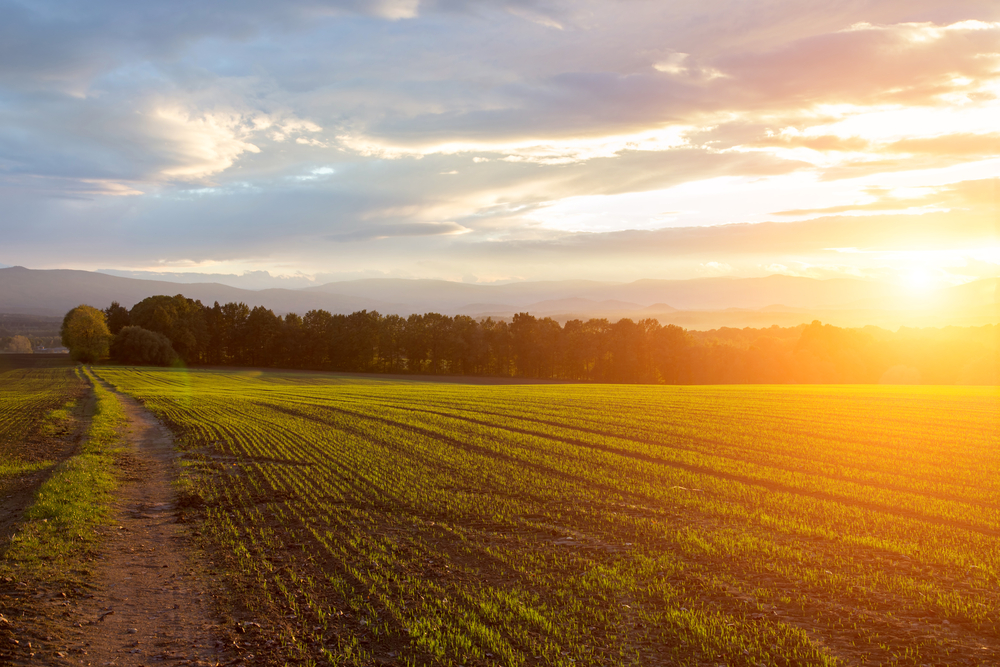 Beautiful,Sunset,Over,The,Green,Large,Field