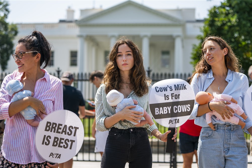 Breastfeeding women protest outside White House