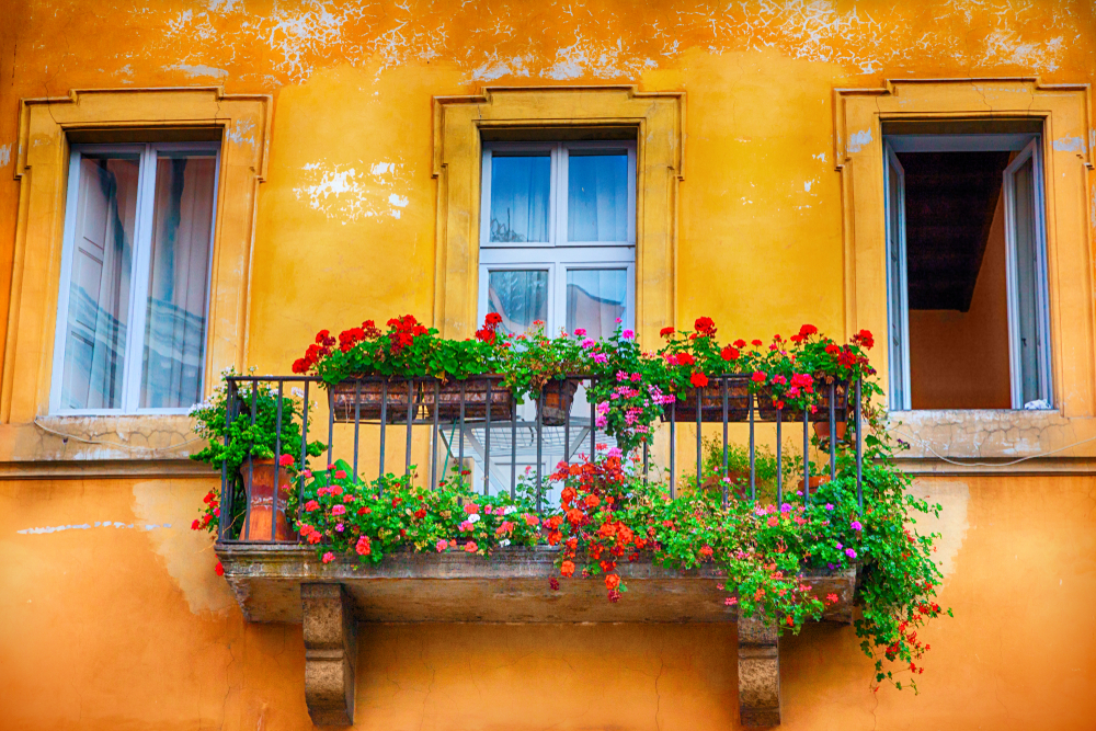 Window,In,Rome