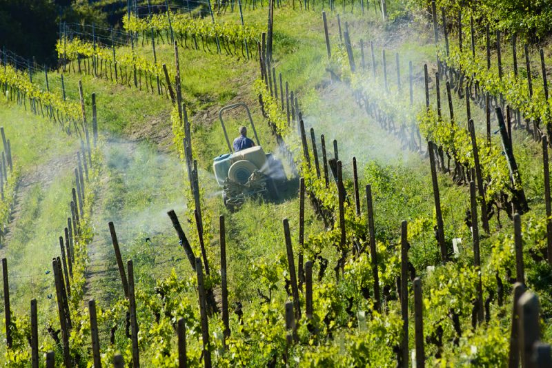 Bundesregierung setzt für integrierten Pflanzenschutz auf Pestizidreduktion