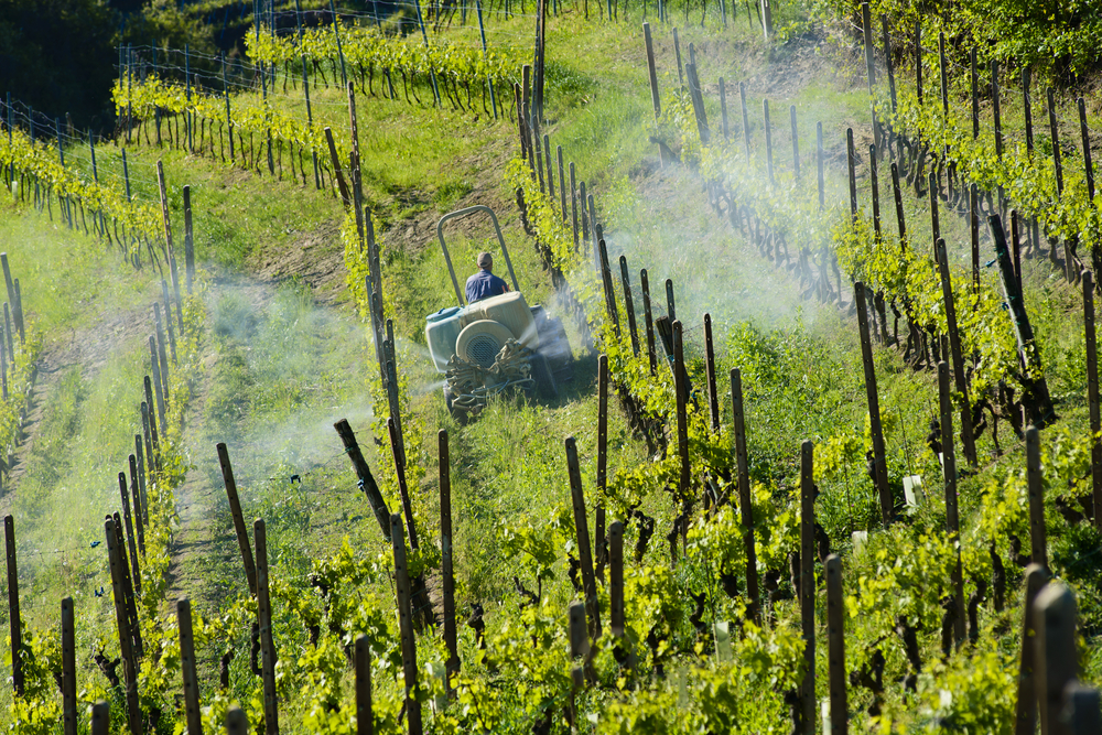 Farmer,With,Tractor,Between,Vineyards,For,The,Chemical,Treatment,Of