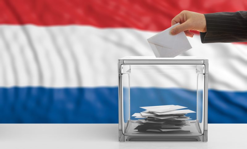 Protestpartei dominiert in den Niederlanden die Regionalwahlen
