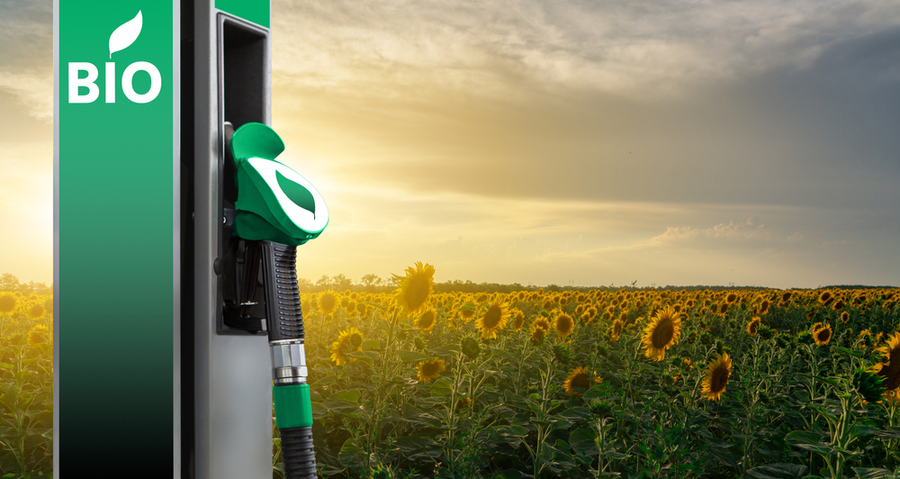 Biofuel,Filling,Station,On,A,Background,Of,Sunflower,Field