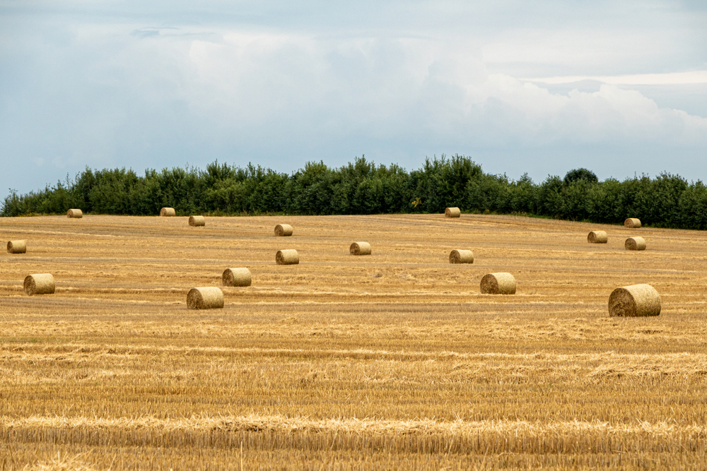 A,Rural,Scene,With,Straw,Bales,On,A,Summer,Day