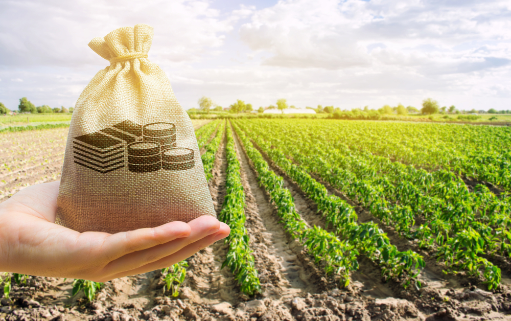 Money,Bag,In,The,Hand,Of,The,Farmer,On,The