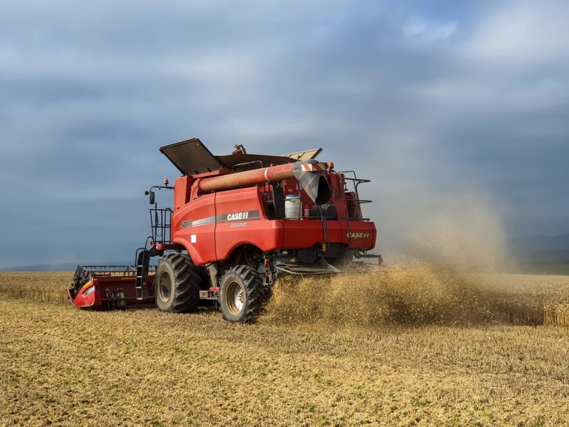 Ukrainische Getreideimporte: Rumänische Landwirtschaft vor dem Kollaps