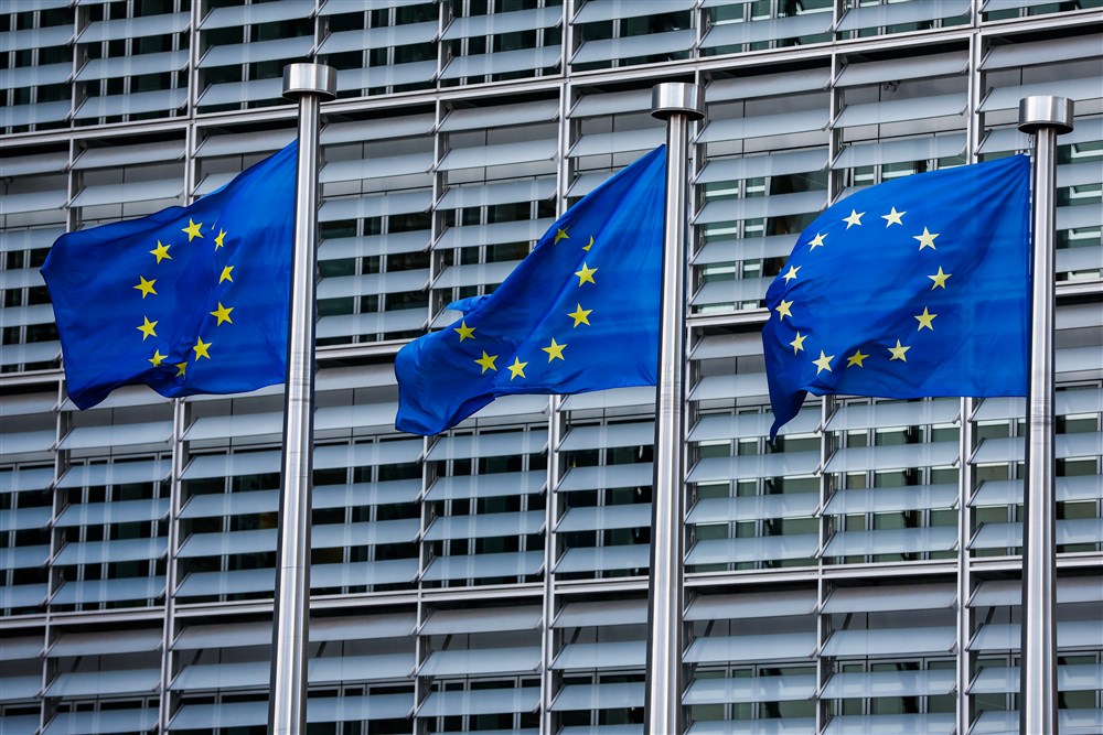 EU flags