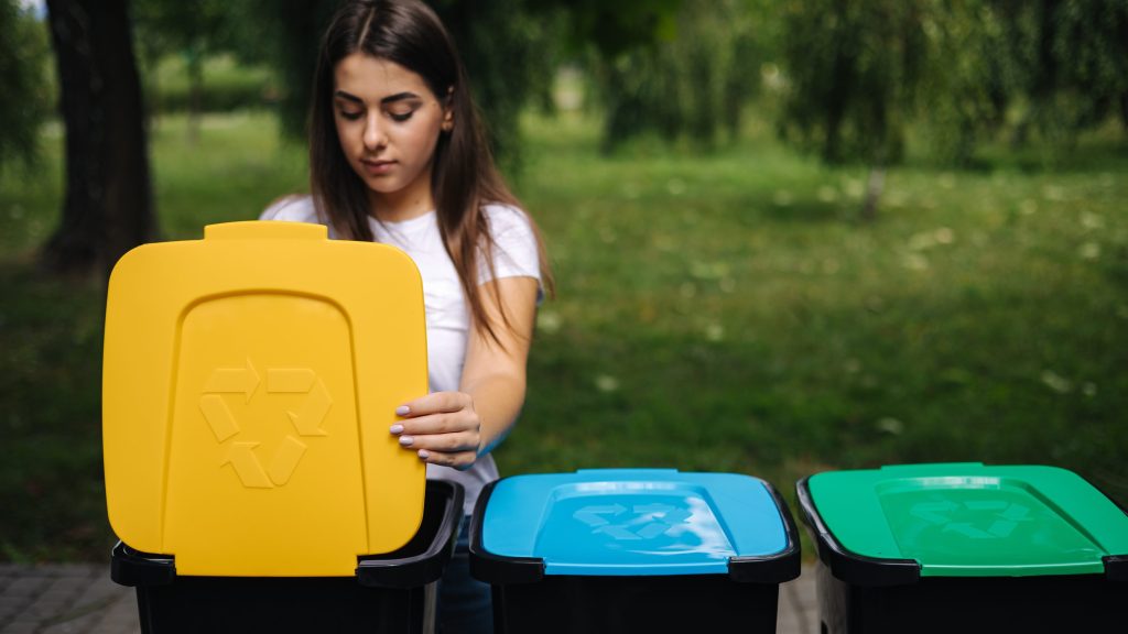 Bins (1)