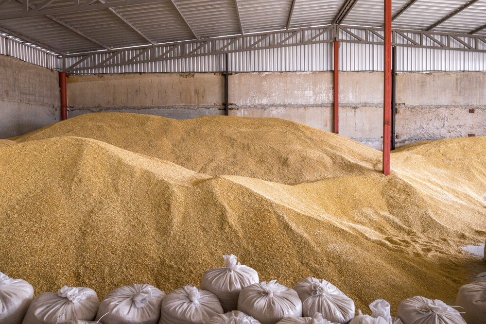 Pile,Of,Heaps,Of,Wheat,Grains,And,Sacks,At,Mill