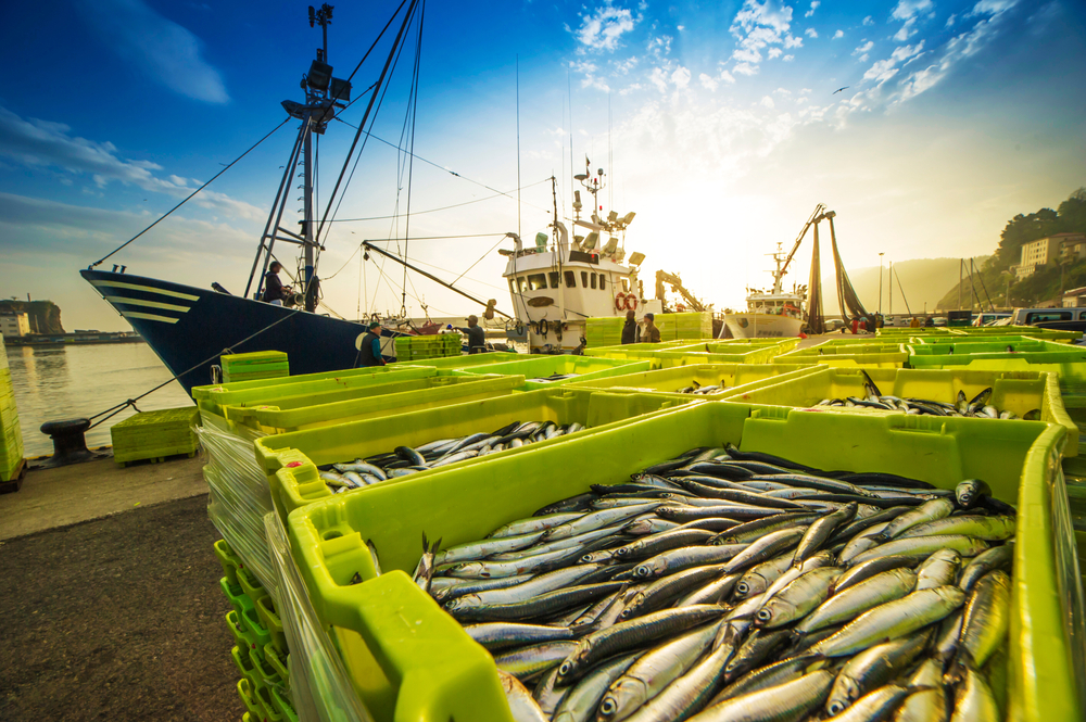 Fishing,Boat,Unloading,Its,Catch,Of,The,Day
