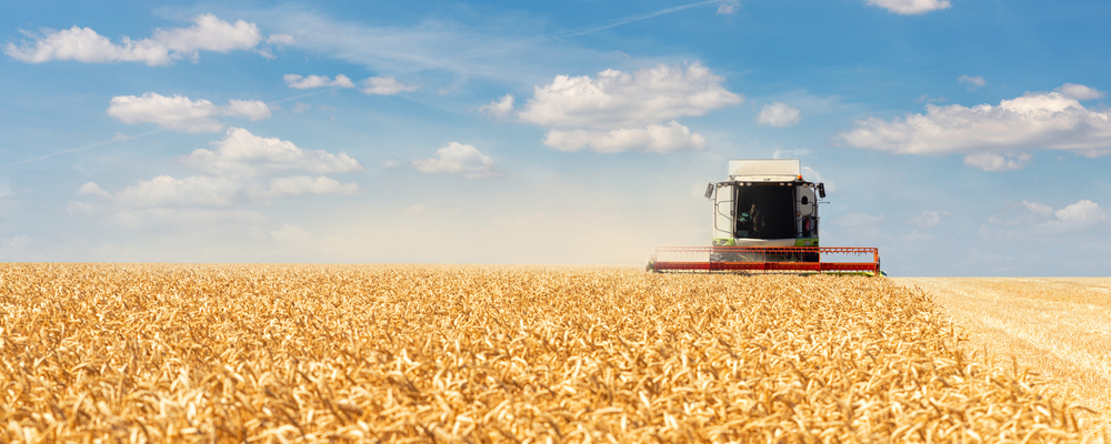 Scenic,Front,View,Big,Modern,Industrial,Combine,Harvester,Machine,Reaping