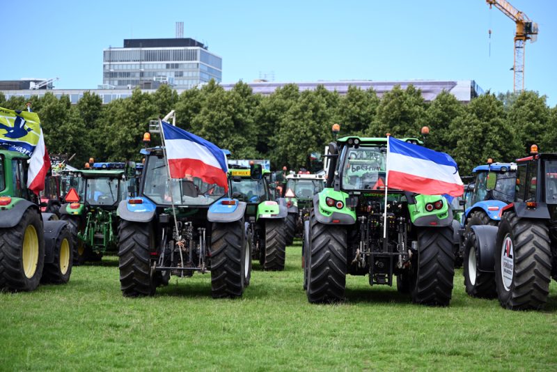 Stickstoffkrise führt zu Zwist in den Niederlanden