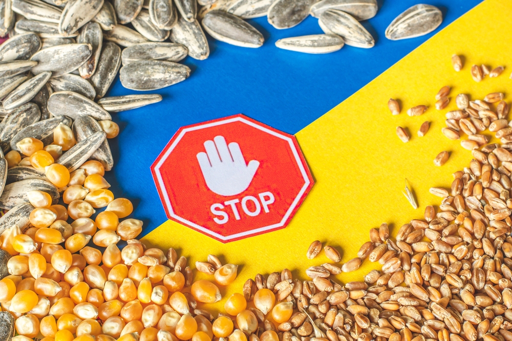 Wheat,Grains,,Corn,And,Sunflower,Seeds,On,The,Yellow,And