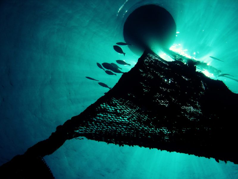EU verlässt Abkommen zur Eindämmung schädlicher Fischereigeräte