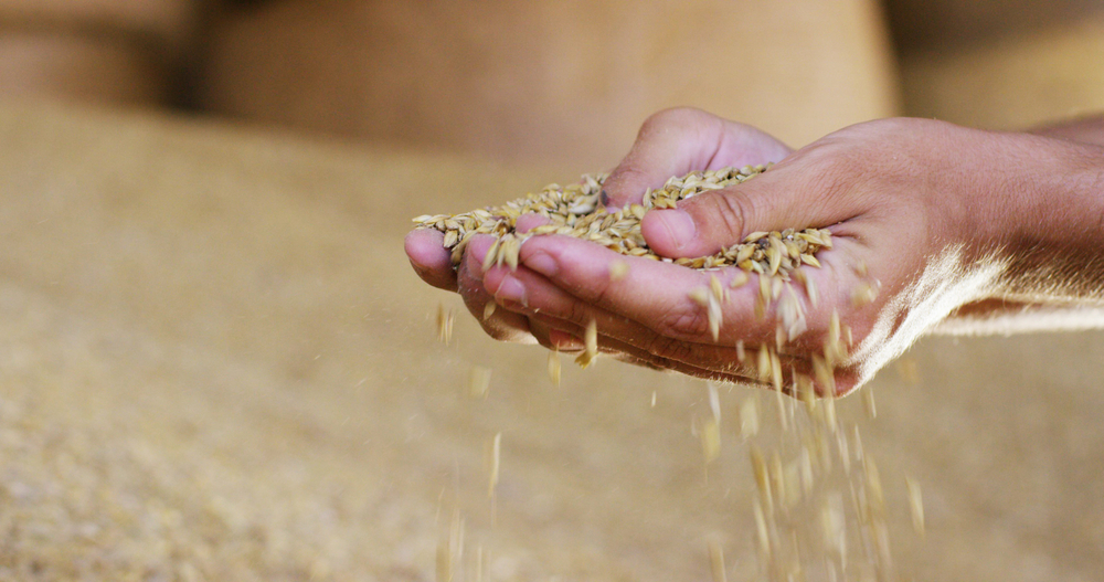 Hands,Of,A,Young,Farmer,Get,Up,And,Mingle,In