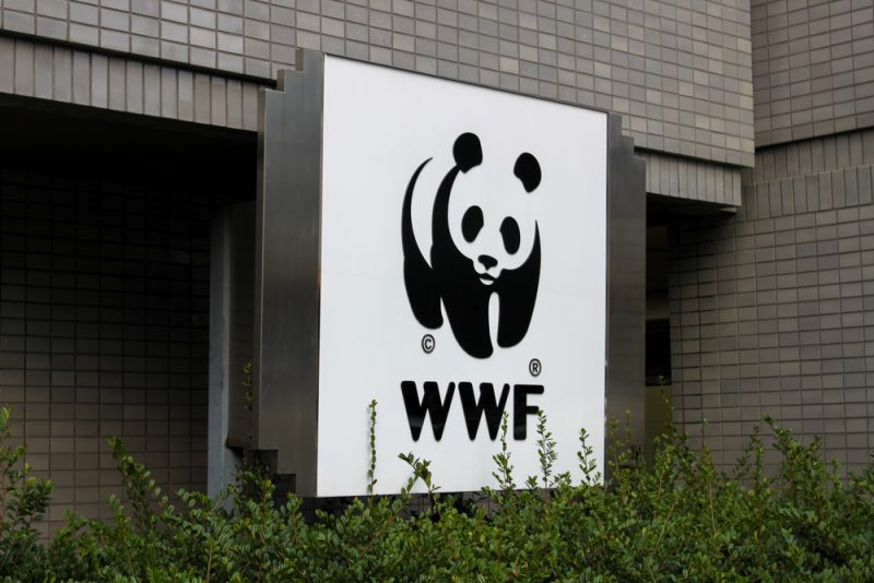 WWF: Nationalpark Doñana "Opfer" des spanischen Wahlkampfes