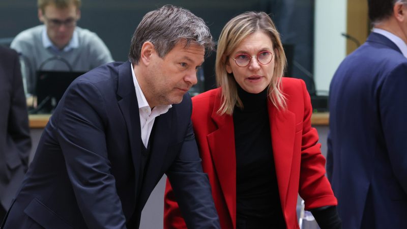 Frankreich verzögert Verabschiedung des EU-Gesetzes zu Erneuerbaren