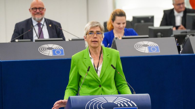 Neues Gesetz: EU-Parlament will gegen Methan vorgehen