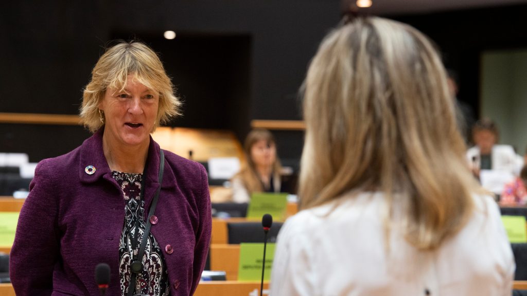 ENVI Committee on packaging waste and pesticides