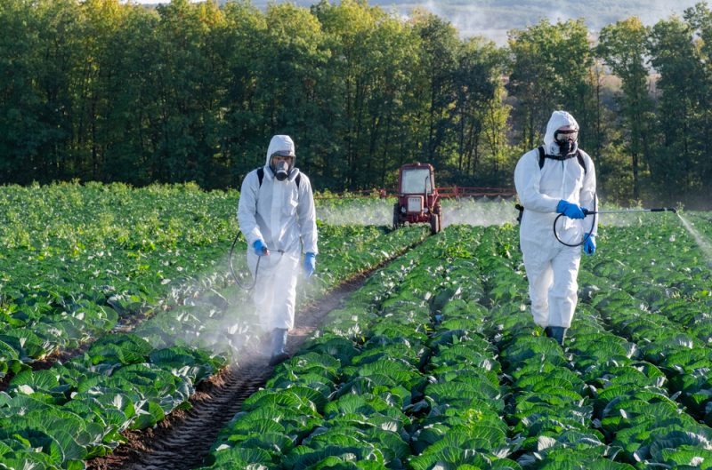 EU-Kommission bindet Gentechnik-Lockerung an Pestizidreduktion