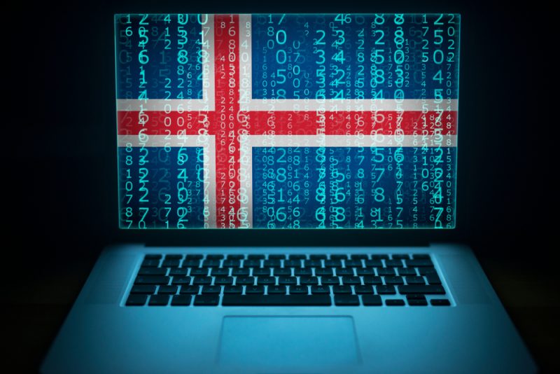 Europarat in Reykjavik: Erhöhte Bedrohung durch Cyberangriffe