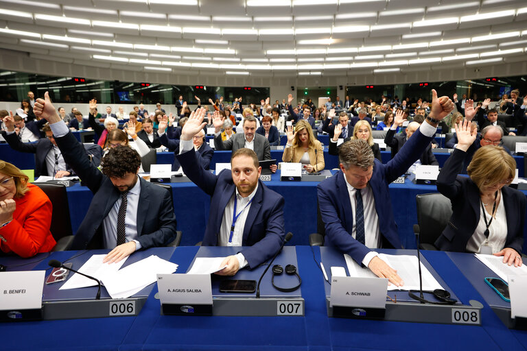 KI-Gesetz: Zustimmung im EU-Parlament bröckelt