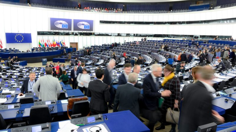Nach EVP-Ausstieg: EU-Parlament will trotzdem Renaturierungsgesetz