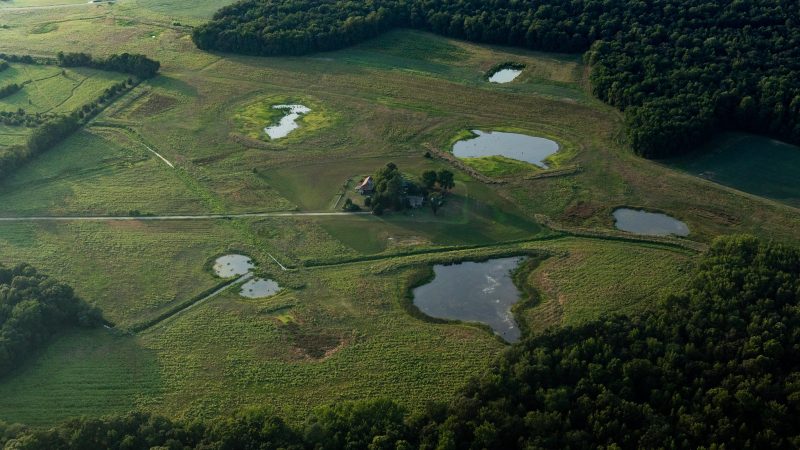 Kampf um Biodiversitäts-Offsets: EU erweitert grüne Finanztaxonomie
