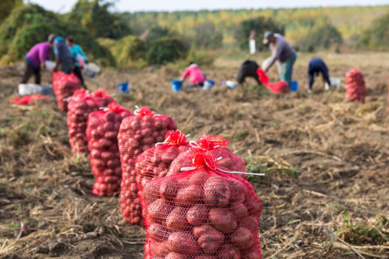EU-Kommission gesteht Schwächen bei sozialer Säule von Agrargeldern ein