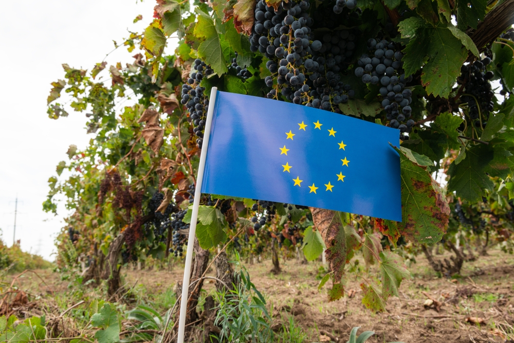 The,Flag,Of,The,European,Union,On,The,Background,Of