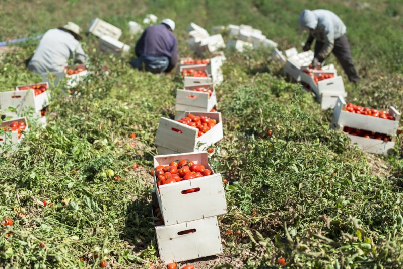 OECD aktualisiert Richtlinien zur Sorgfaltspflicht von Unternehmen