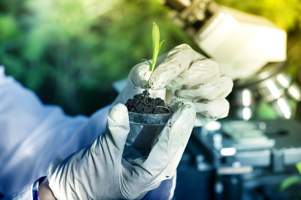 Close,Up,Of,Biologist’s,Hand,With,Protective,Gloves,Holding,Young