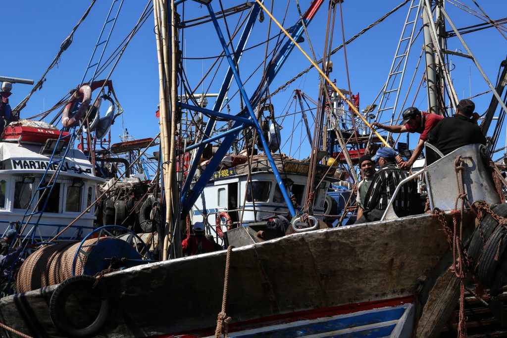 Fish plunder in Western Sahara