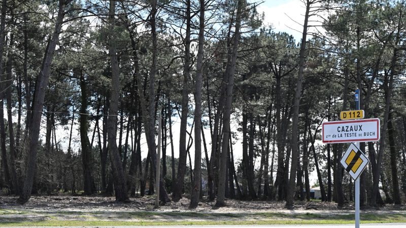 Frankreich versucht Lehren aus den Waldbränden von 2022 zu ziehen