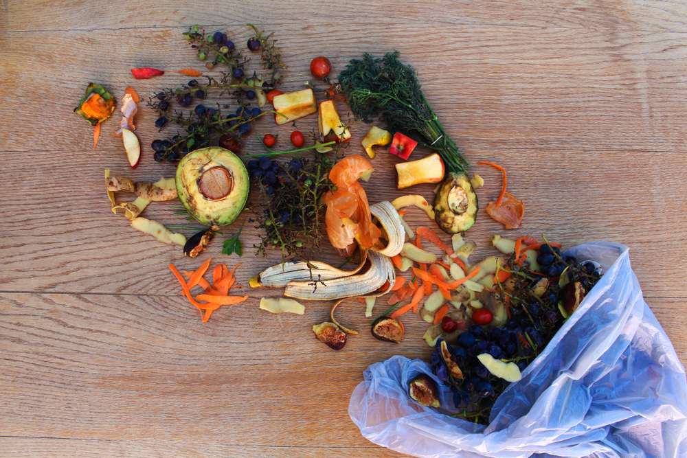 Domestic,Waste,For,Compost,From,Fruits,And,Vegetables,In,The