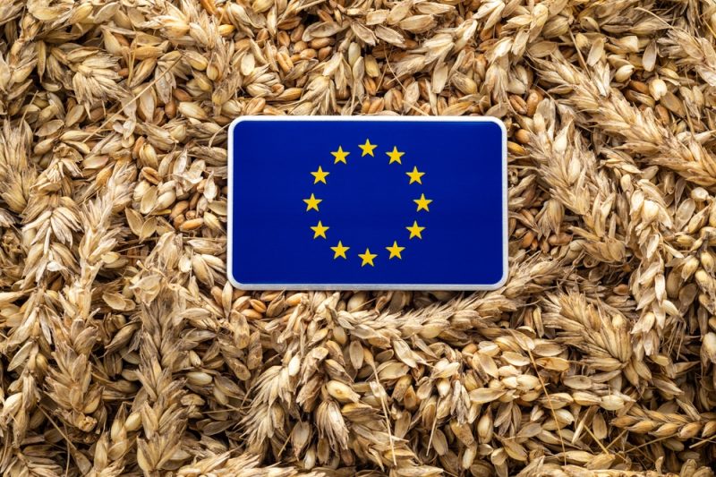FAO-Vertreter: EU sollte nicht Nachhaltigkeit über Agrarproduktion stellen